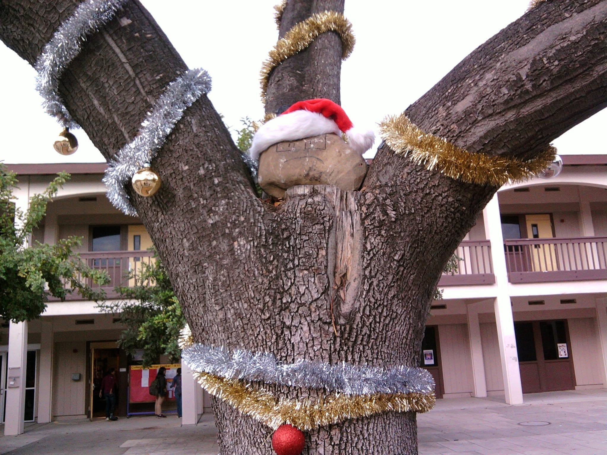 Tree